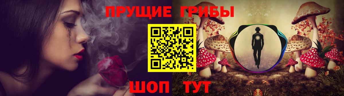 Псилоцибиновые грибы Cubensis  Галлюциногенные грибы прущие грибы  Выкса  Вход с VPN 