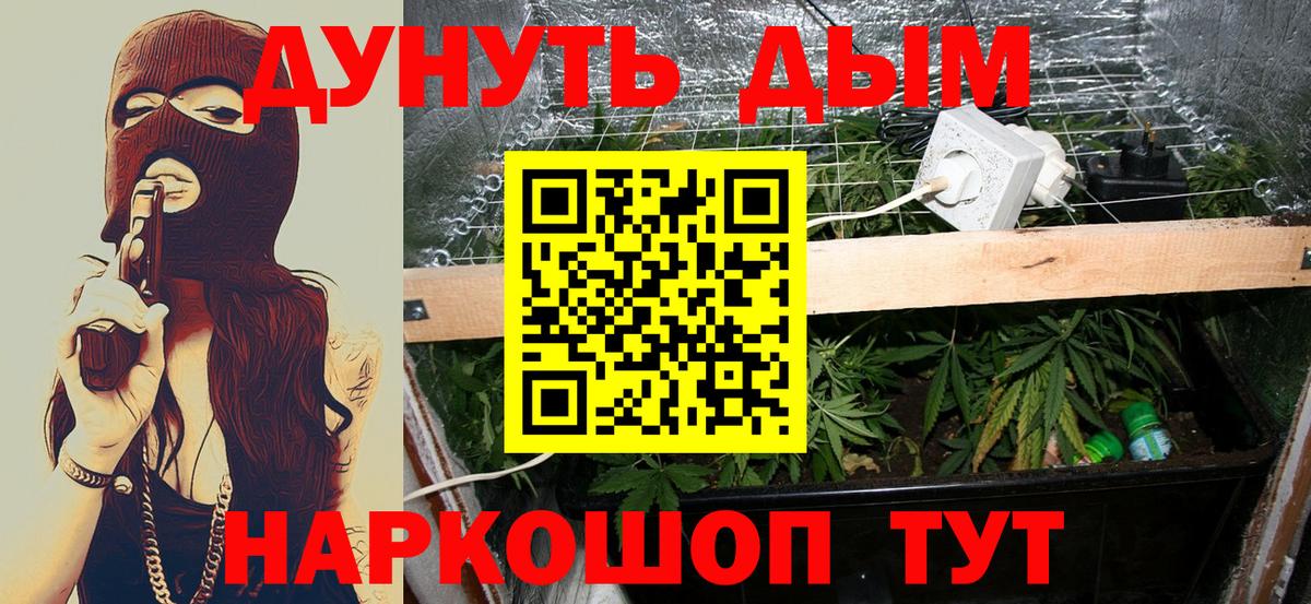 Выкса  МАРИХУАНА семена  Вход с VPN  МАРИХУАНА индика  Бошки Шишки OG Kush 